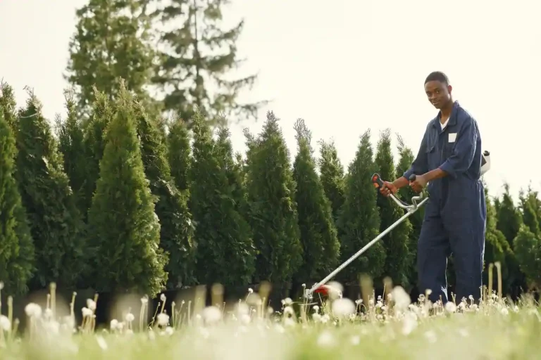 Crédit d&rsquo;impôt jardinage : ce qu&rsquo;il couvre et comment en profiter