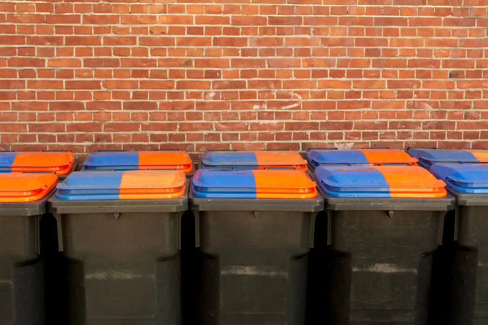 Conteneurs de tri sélectif alignés pour la collecte séparée des déchets
